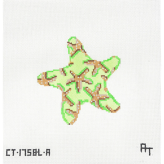 Lime Starfish
