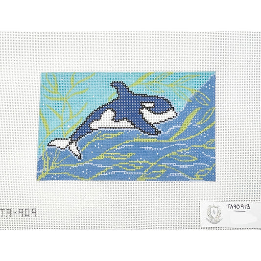 Orca Whale Swimming